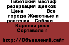 Тибетский мастиф резервация щенков › Цена ­ 100 000 - Все города Животные и растения » Собаки   . Карелия респ.,Сортавала г.